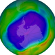 Illustration for article titled The Earths Ozone Layer Is Still Being Chewed Apart